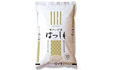 揖斐郡産 味のいび米はつしも精米10kg×3袋 お米 