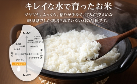 ハツシモ 米 いびいただき 精米 JAいび川 ハツシモ【計6kg(3kg×2袋)】【化粧箱入り】