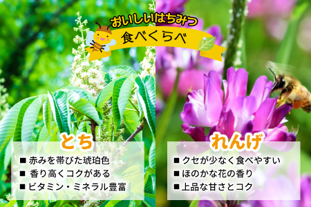 国産純粋完熟はちみつ大瓶セット(れんげ・とち)580g×2本[16-832]