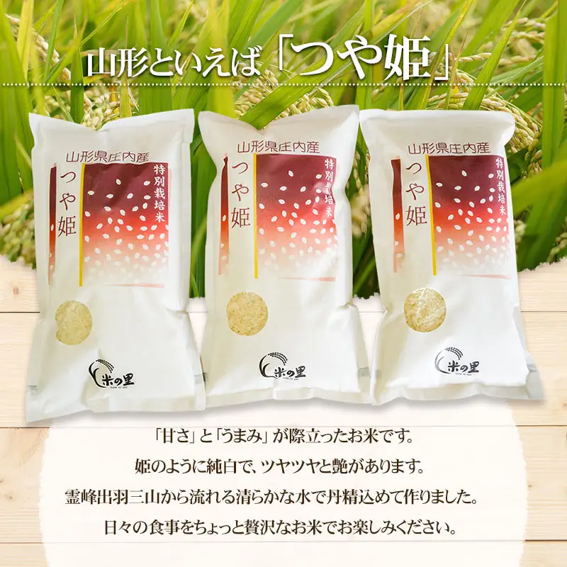 【令和8年産 新米】 米の里の特別栽培米 つや姫 精米 5kg　山形県鶴岡市産 | 白米 特栽 ブランド米 庄内 2026年産　K-845