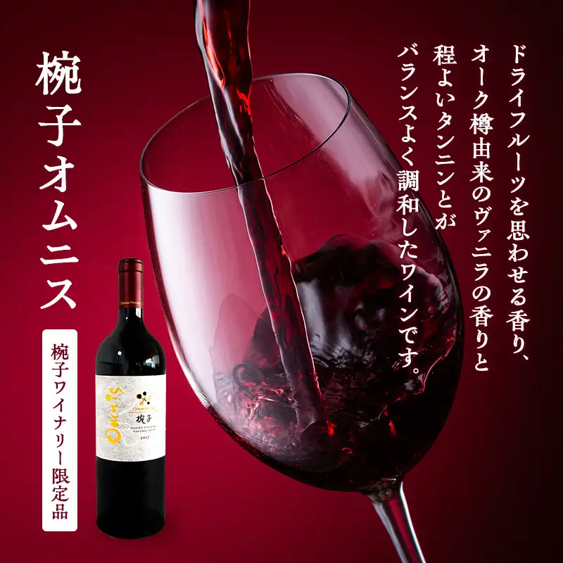ワイン 限定 椀子ヴィンヤードを味わう贅沢 2本 セット ワイン