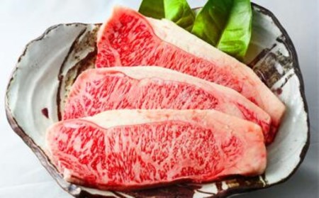 BN047_ふるさと納税　訳あり　定期便　100万コース（佐賀牛サーロインステーキ、味付け厚切り牛タン、味付けホルモン、佐賀牛ハンバーグ等々、贅沢12回定期便）