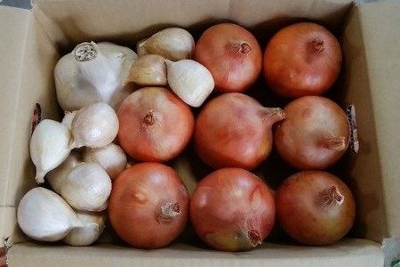 【淡路夢ファーム】　ジャンボニンニク・玉ねぎセット3kg