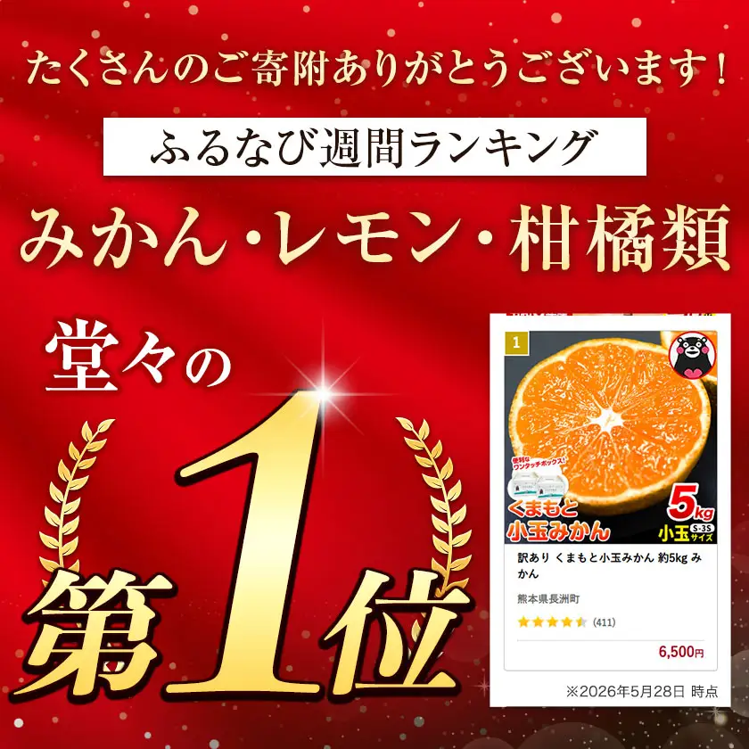 訳あり くまもと 小玉みかん 約5kg みかん 熊本