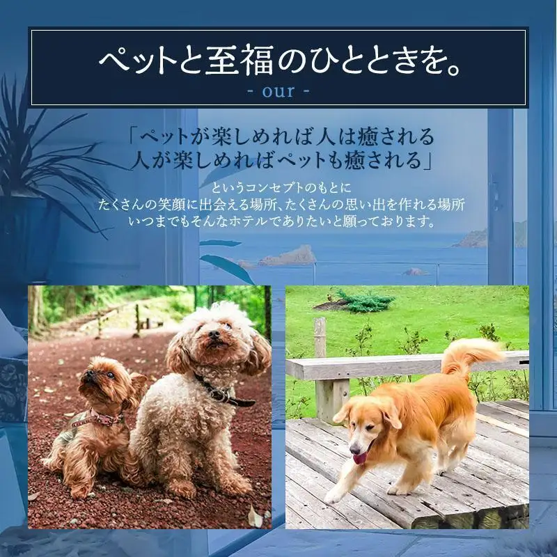 宿泊券 四季の蔵 12000円分 ペット可 温泉 旅行 宿泊券