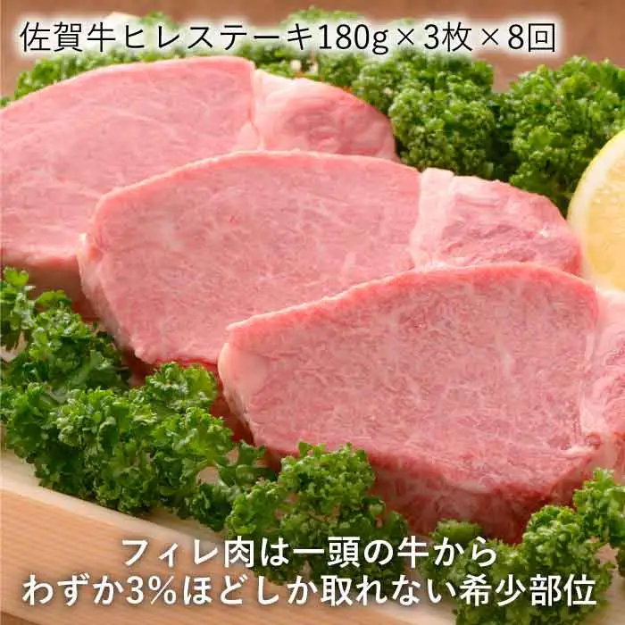 【全8回定期便】佐賀牛ヒレステーキ＆ロースステーキ 総計9.12kg 吉野ヶ里町/石丸食肉産業 佐賀牛 牛肉 肉 国産 ブランド牛 ヒレ ロース ステーキ [FBX022]