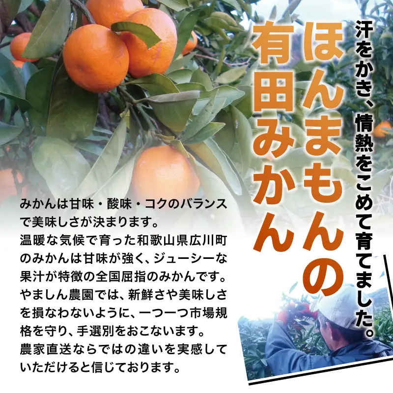 【12月発送】みかん 有田みかん 約8kg＋150g ご家庭用【nuk100-12C】