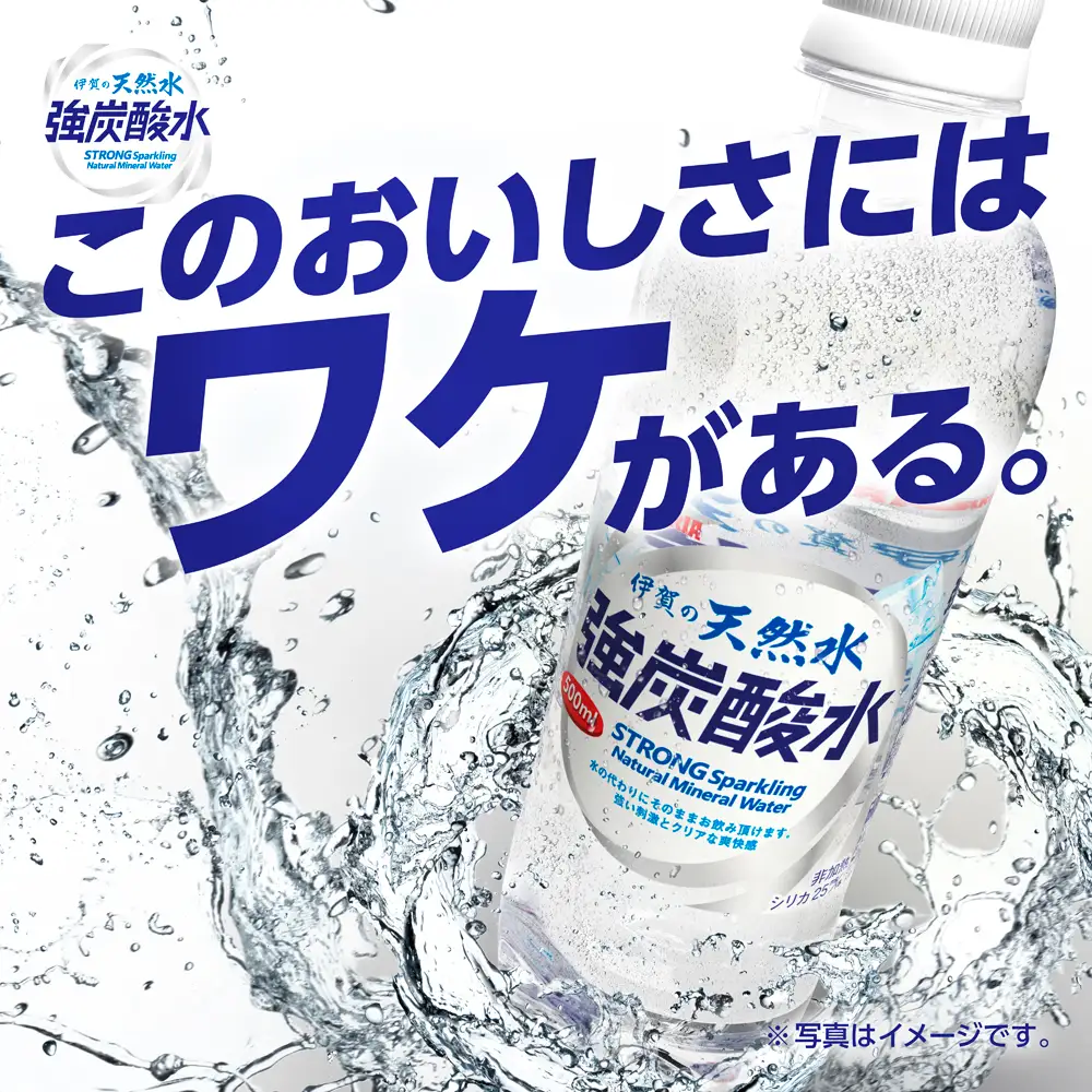 炭酸 サンガリア 伊賀の天然水 強炭酸水2ケース （1L×24本） 【igge0002】