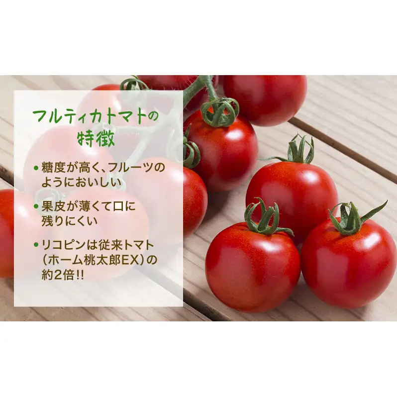 トマト 中玉 フルティカ 樹上完熟 農家直送 トマト【1.5kg】