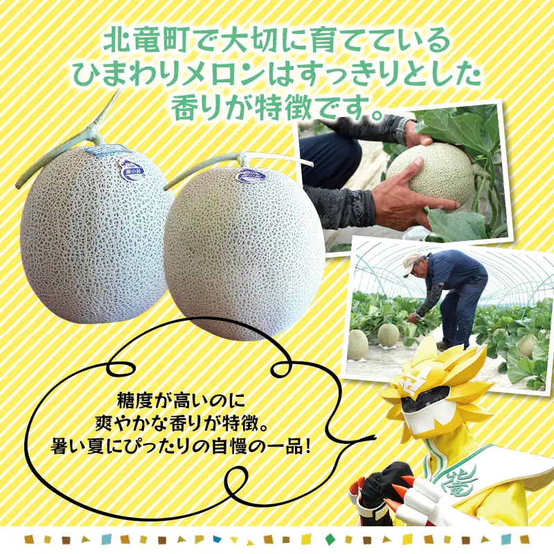 令和8年産 【赤肉】ひまわり メロン 2玉 ※9月中旬から10月中旬に順次発送 2玉 1箱 【sun514-aka-2A】