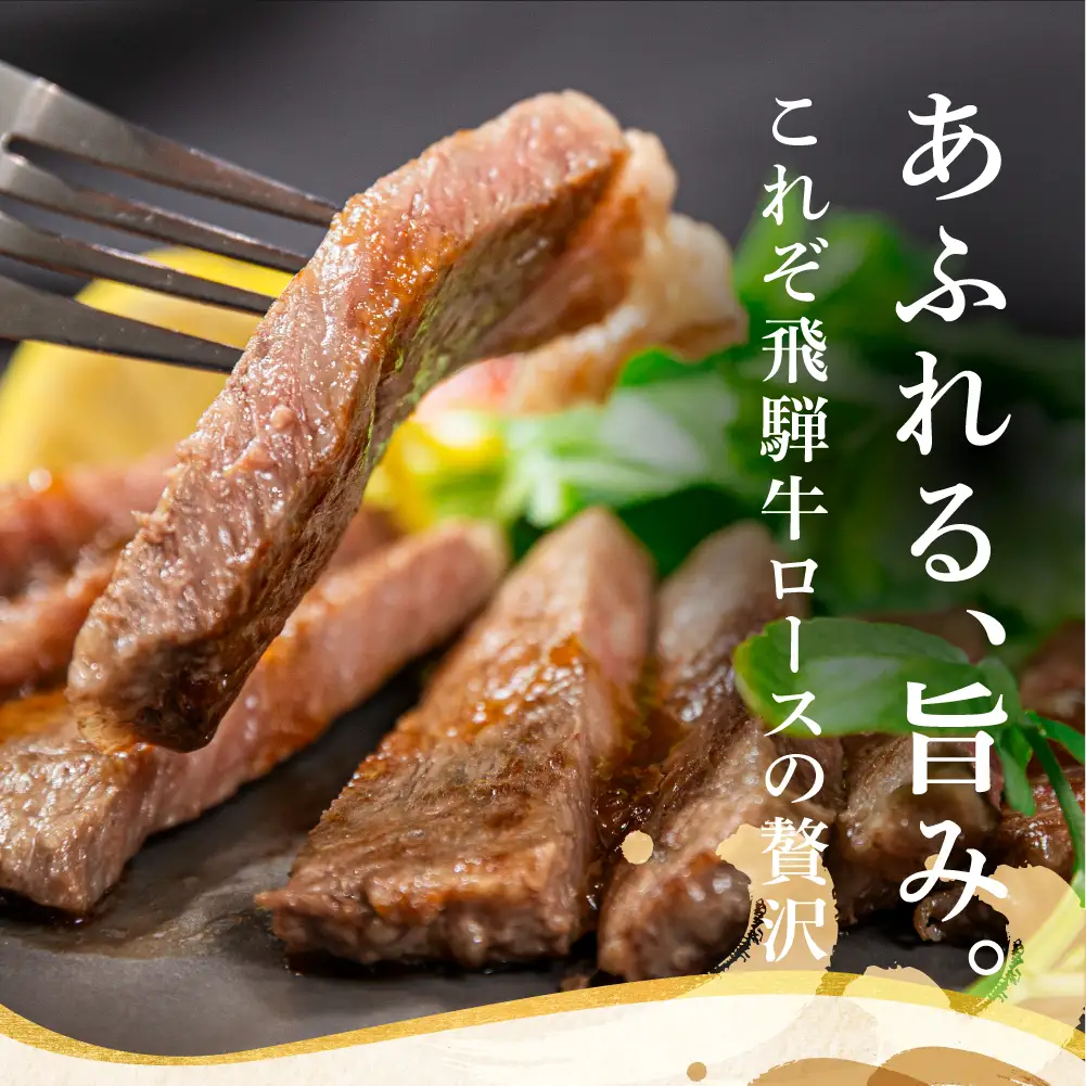 飛騨牛 ロースステーキ 200g×3枚 | 旨味を瞬間冷凍 黒毛和牛霜降り ステーキ 山武商店 LZ018VC13
