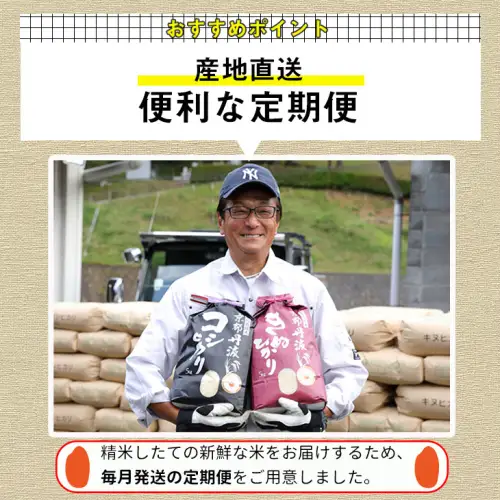 【4回定期便】米 コシヒカリ 5kg 定期便 精米 白米