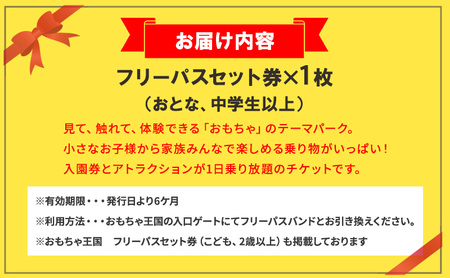 おもちゃ 王国 フリーパス セット 券 （おとな、中学生以上） チケット