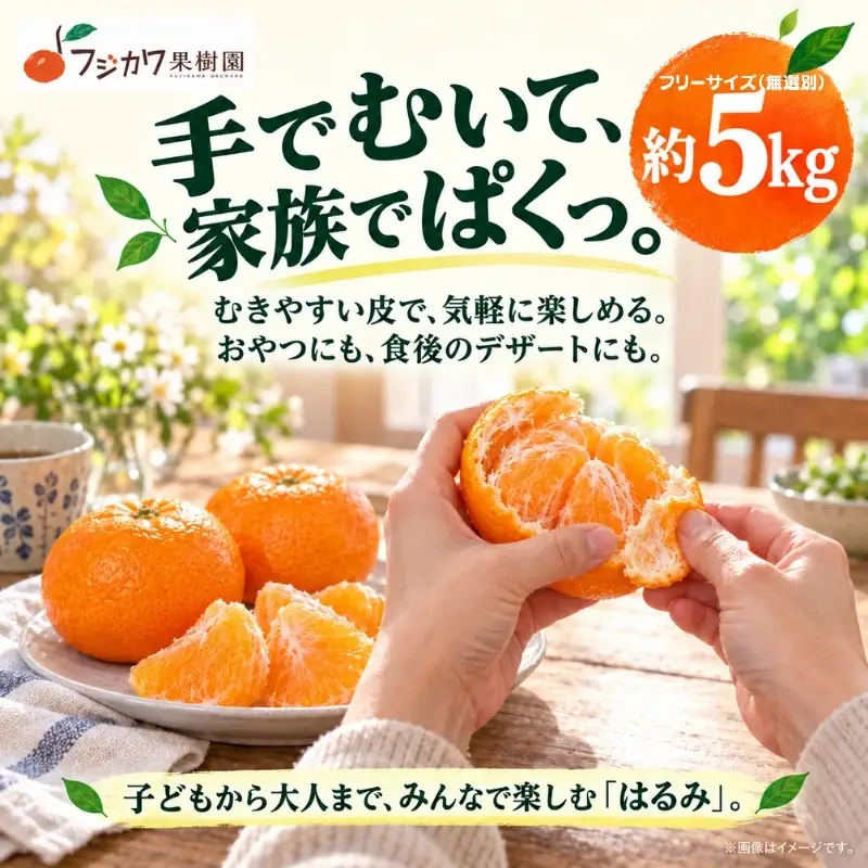 はるみ 約5kg 果物類 柑橘類 フルーツ みかん デコポン