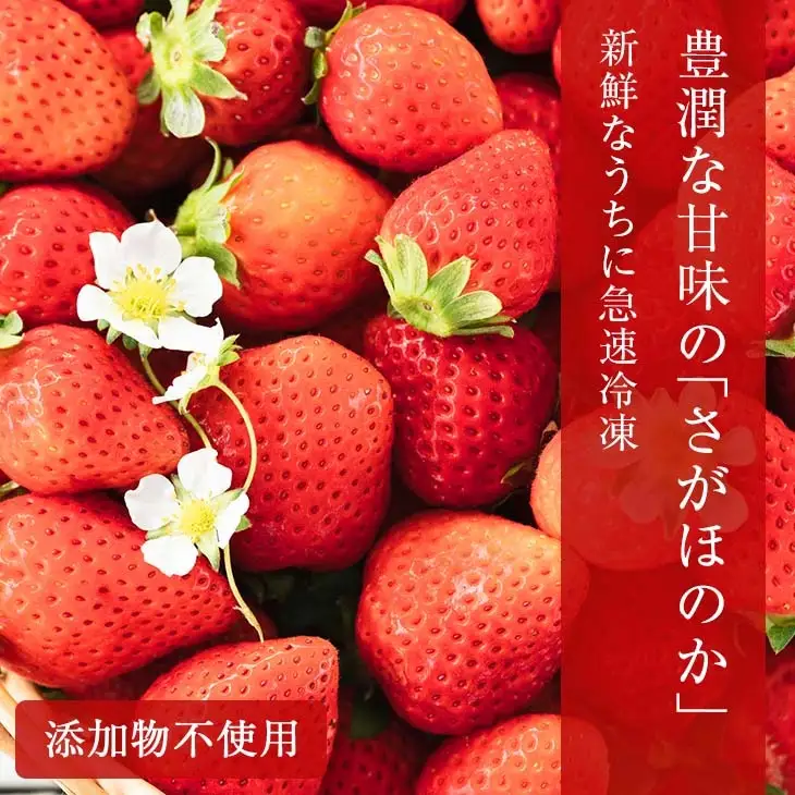 【ふるなびWEEK対象】グランプリ受賞 数量限定 冷凍いちご シロップ付 計1kg+170g 【クラッシュタイプ】_BA104-26