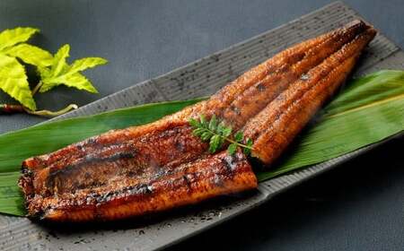 ＜職人手焼き九州産うなぎ 蒲焼き2尾（4切れ）計260g前後＞翌月末迄に順次出荷【c692_sk_x2】