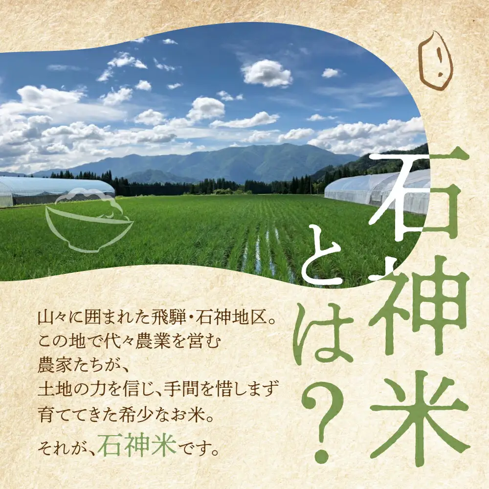 令和8年産 米 石神米 コシヒカリ5kg / 新米 米 コシヒカリ