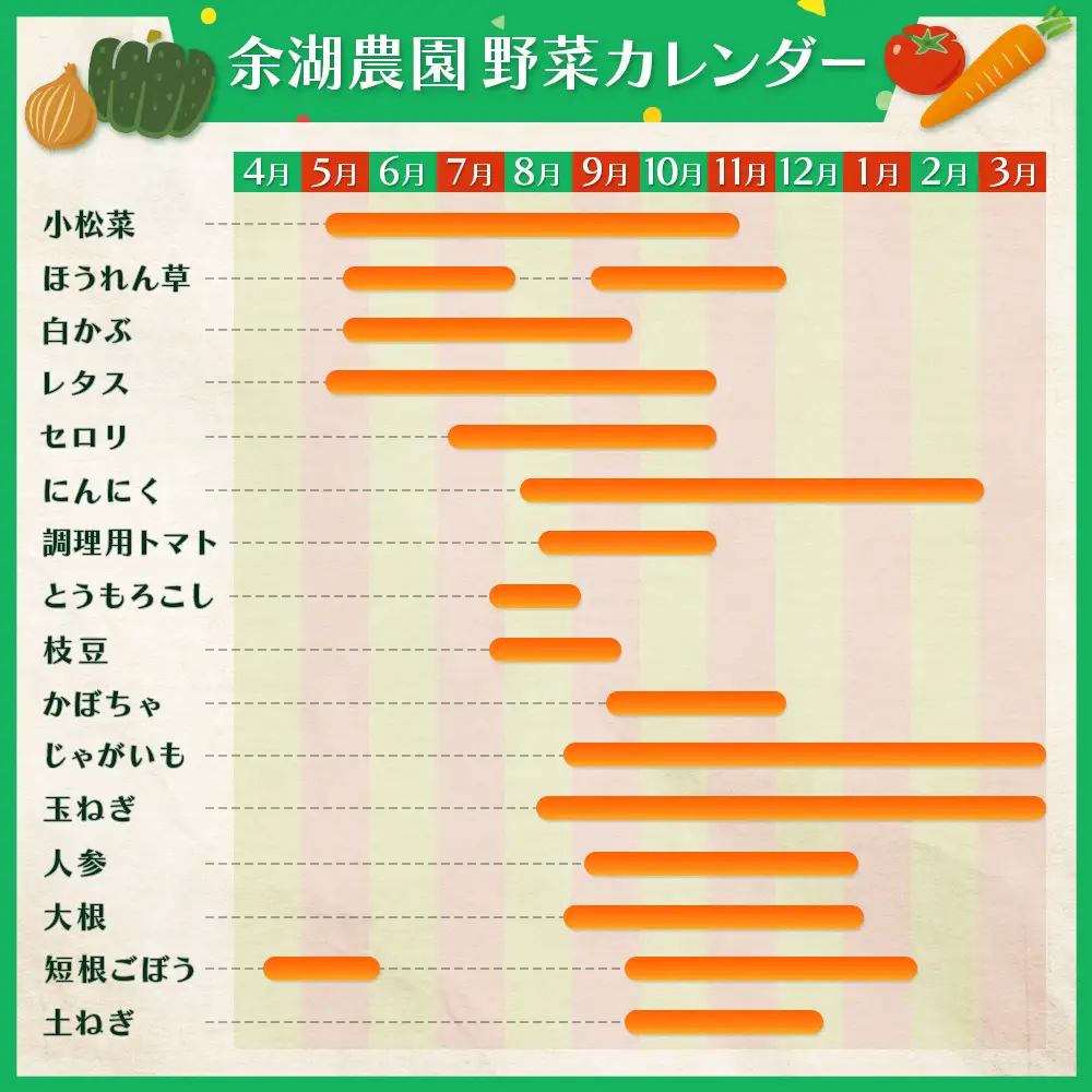 北海道産季節の野菜詰め合わせ 6種類8品【31000503】