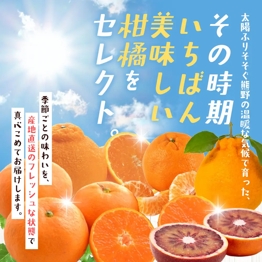 みかん 柑橘詰合せ 約4.5㎏ みかん【szjk0010】