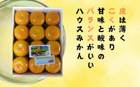 先行予約！山口農園の甘いハウスみかん（1.5㎏）