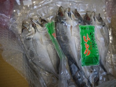 定置網のハマケン水産【あじのひらき6枚☆無添加】3枚入り×2袋【kmkn0107A】