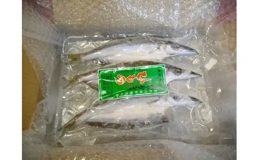 定置網のハマケン水産【カマスの開き6枚☆無添加】3枚入り×2袋【kmkn0112】