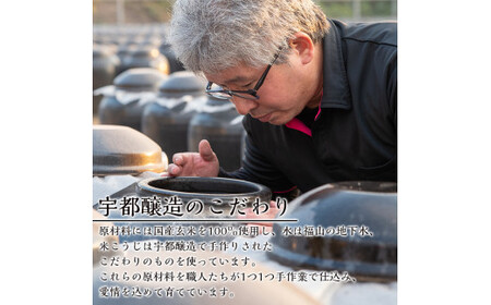 A-169 伝統鹿児島の壺造り黒酢ふくずと飲む黒酢(シークニン・梅)200ml×3本セット【宇都醸造】
