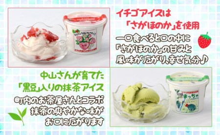 AE034_農家が考えたなめらかアイス１２個（いちご＆黒豆抹茶）
