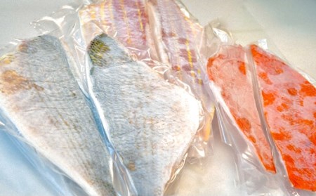 旬の地魚（3種）お造りセット（3-4人前） 刺身