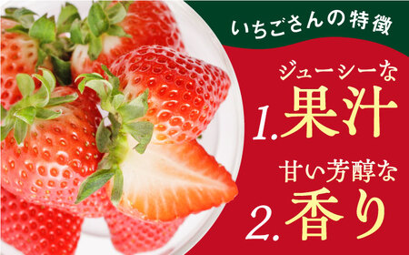 先行予約 2027年1月〜発送 いちごさん（化粧箱入り400g） / いちご [IBJ002]
