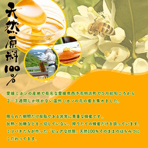 みかん蜂蜜「ジオハニー」170g×２瓶（化粧箱入り） USS0003