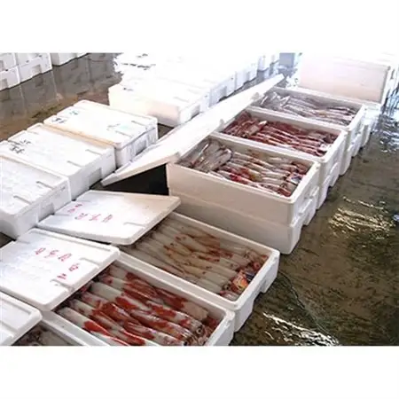 兵庫県新温泉町　白イカ(冷凍)約1.5kg(5-12杯程度入)【配送不可地域：離島】【1114071】