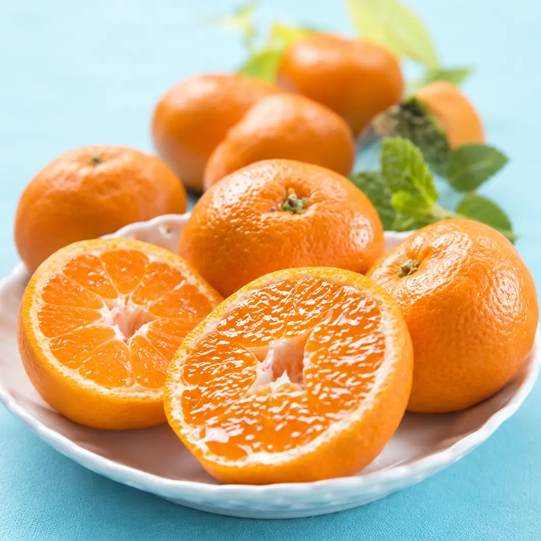 【先行予約・数量限定】みかん農園直送！生産者厳選「小坂みかん」（約9kg）