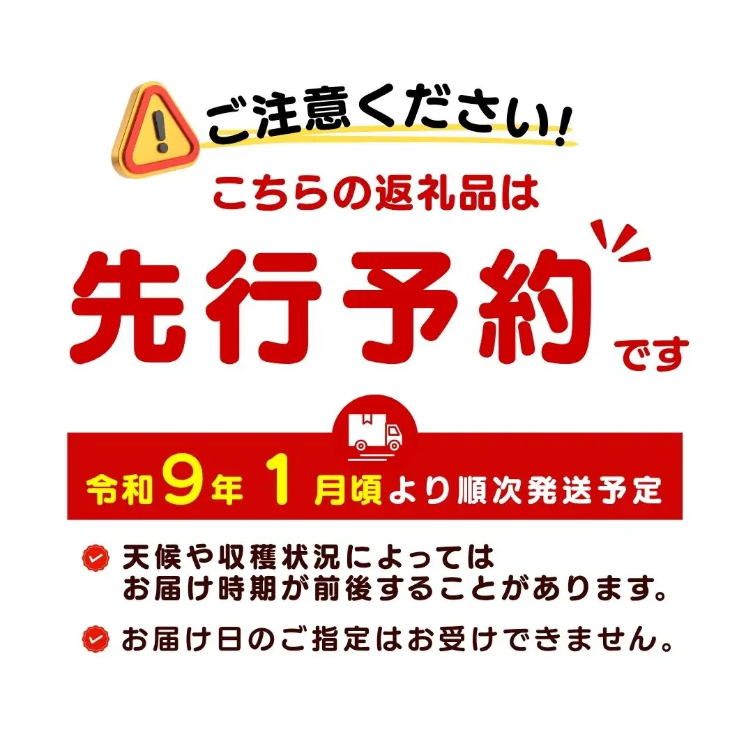 伊豆の国産！大玉トマト（4kg）