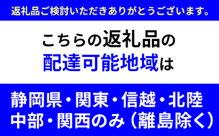 おせち　和食おせち二段重　四季【配送エリア限定】 加工食品 