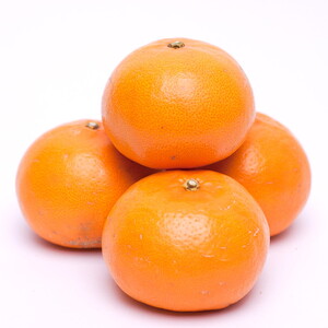 ＜2月より発送＞厳選 せとか2.5kg+250g（傷み補償分）◇｜柑橘・春みかんの王様【光センサー選果・食べ頃出荷】