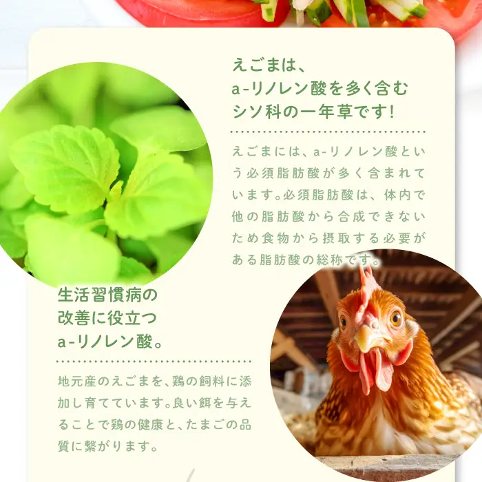 あさひのギフトセット（２５）【えごま玉子 6個入り プリン 無添加 3個 茶碗蒸し 3個 味付けたまご 1パック 厚焼たまご 1パック 玉子とうふ 1パック えごまドレッシング 1本 卵】