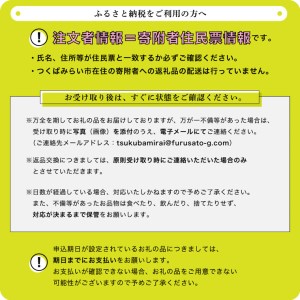 【数量限定】旬野菜のお任せ定期便１年間（月１回出荷）