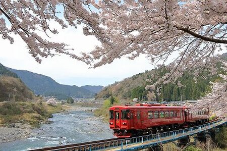 長良川鉄道 全線 1日フリー 乗車証 