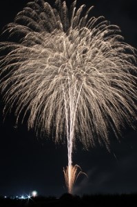 岐阜県大垣市で堪能するプライベート花火 2～4号玉 合計75発（5～7分程度） 