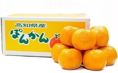 【植田農園のポンカン】 10kg ご家庭用［1184-2］
