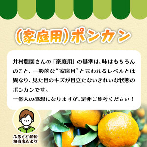 令和9年1月発送予定 訳あり 家庭用 足摺ぽんかん ５kg デコポンの親 みかん 柑橘 果物 果実 ミカン  ポンカン フルーツ おやつ デザート 5キロ 美味しい 高知 井村農園【R01488】