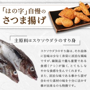 焼津 産 さつま揚げ セット 900g以上 詰合せ (a10-545)