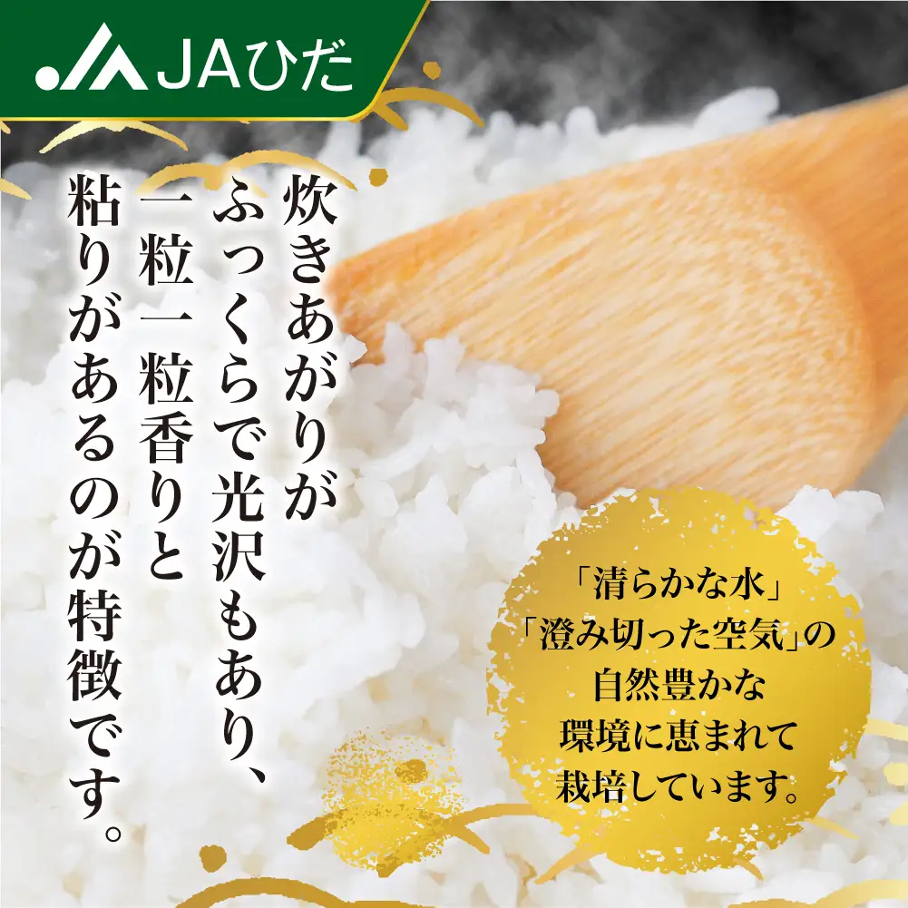 【ふるなび限定】定期便 12ヶ月 令和7年産 飛騨 コシヒカリ 白米 5kg 定期便 JAひだ GS100 FN-Limited-PR