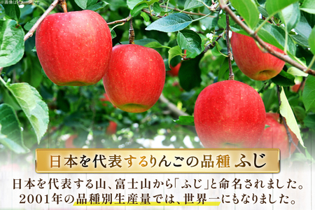 【期間限定発送】 りんご 高畠町産 サンふじ りんご 12～18玉 計 5kg