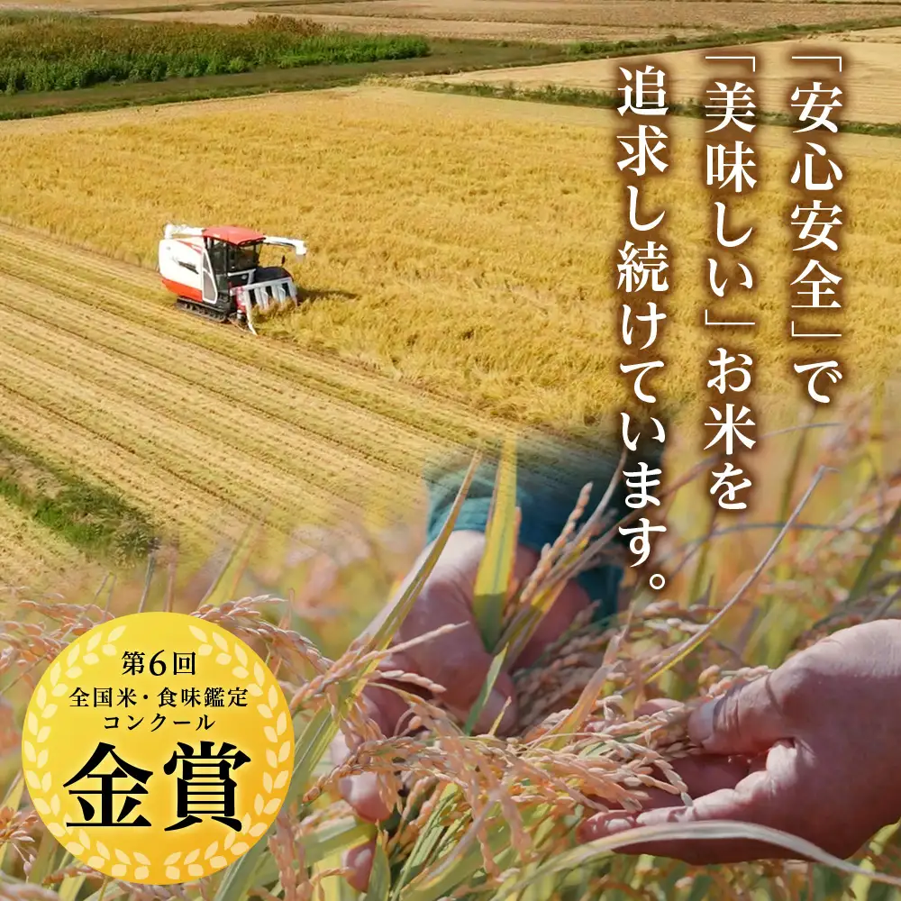 【令和8年産新米予約】【定期便 3カ月】ゆめぴりか 玄米 10kg 《杉本農園》