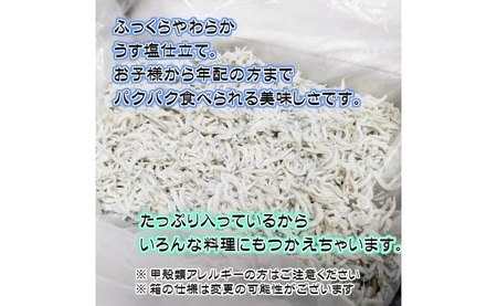 湯浅湾の釜揚げしらす たっぷり700g 無添加 無着色 訳あり 家庭用 簡易包装 和歌山県_BD6031n
