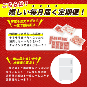 全3回 定期便 かごしま黒豚バラエティ定期便 岡村商店 IBZ024-003