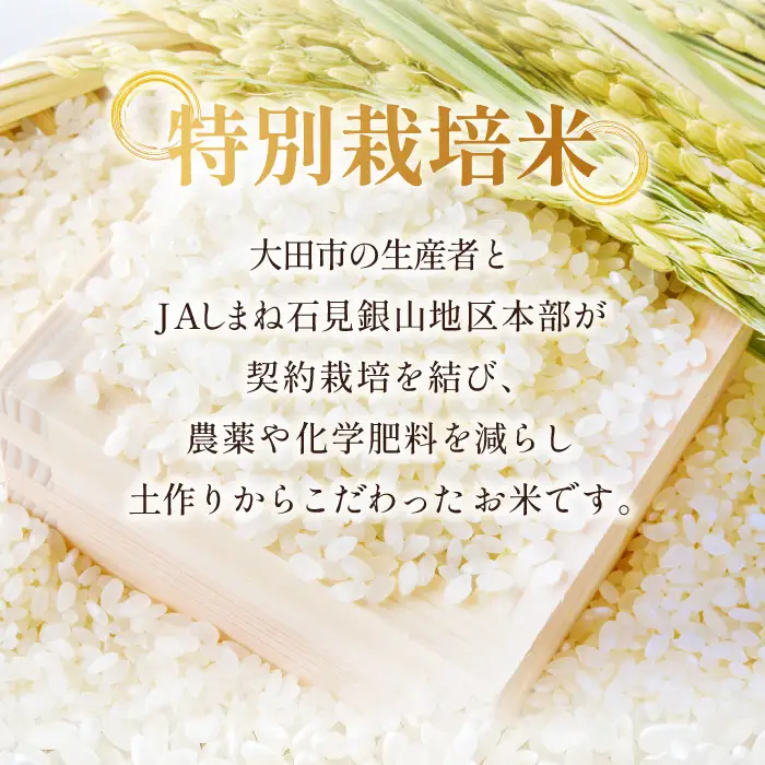 【定期便】氷感熟成「つや姫」定期便(5kg×5回お届け) 【米 定期便 つや姫 お米 5kg 定期 5回 特別栽培米 5kg×5回 合計25kg 島根県産 大田市産 こめ おこめ 氷感熟成 減農薬】