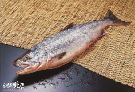 【北海道産】 新巻鮭本漬切身・いくら醤油漬セット ふるさと納税 魚 いくら F4F-1093